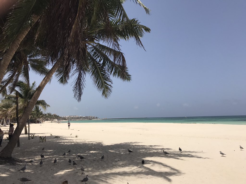 Van mij migen de toeristen wegblijven!!!!! Strand in centeo Playa del Carmen, uniek moment, totale leegte!! 💕🖤❤️💕 #woneninmexico #afterthelockdown