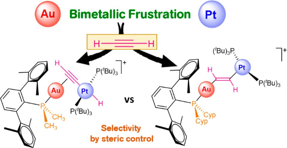 Orgmet_ACS's tweet photo. FLPing FLPs: Frustrated Lewis pairs started as metal-free systems for bond activation, though now transition metals in FLPs is a thing. Tuning Activity and Selectivity during Alkyne Activation by Gold(I)/Platinum(0) Frustrated Lewis Pairs, from @Orgmet_ACS https://t.co/CLjeqEwgAl https://t.co/Q7TK4Rpyir