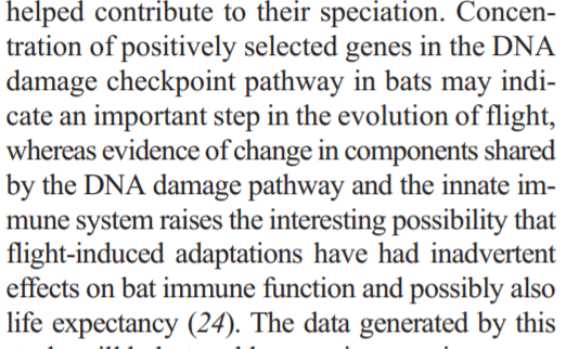 it seems their immune systems tolerate infection rather than being particularly potent at stamping infection out. And it seems that these remarkable immune systems evolved at the same time bats learnt how to fly16/n https://science.sciencemag.org/content/sci/339/6118/456.full.pdf?casa_token=HIc6CEzsZQ8AAAAA:QCg-Uoqfn3BHNJtTo4k5OoI-cB4gYFaKGvlKIQw4qsRyJ4C7sjWAsO54dlmPP2MgLg4AhVrPTzfy-rY
