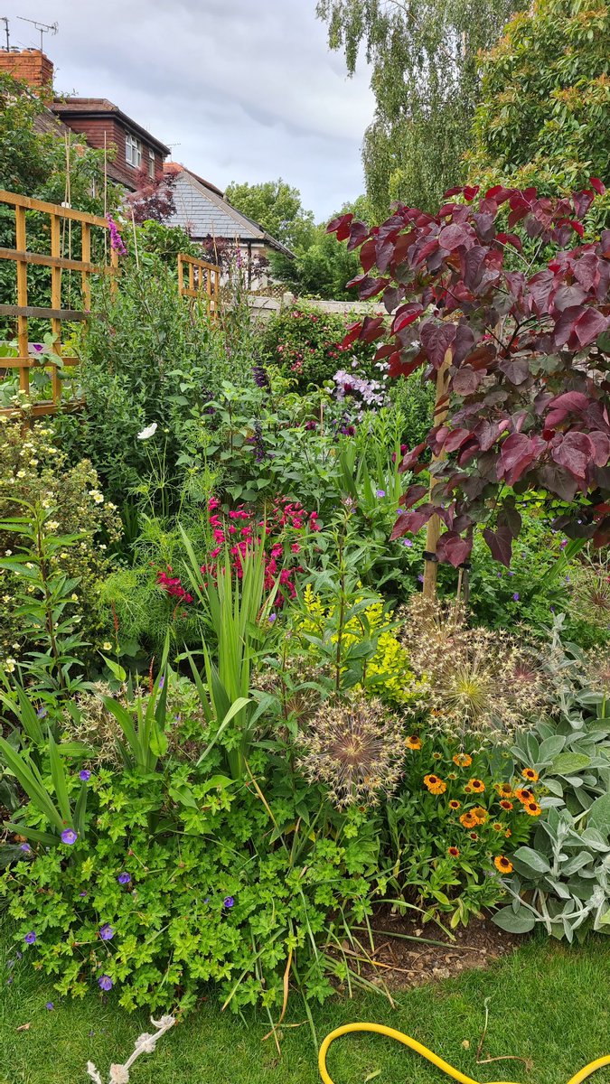 cavershamjj's tweet photo. Border Patrol for June will be published tomorrow at some point. All looking very lush. Verdant, even. But there are definitely opportunities ... #blogpostcomingsoon https://t.co/wWOBH4tgTd
