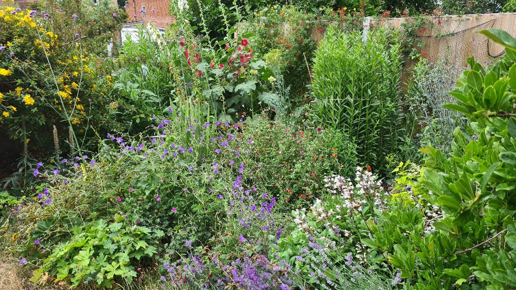 cavershamjj's tweet photo. Border Patrol for June will be published tomorrow at some point. All looking very lush. Verdant, even. But there are definitely opportunities ... #blogpostcomingsoon https://t.co/wWOBH4tgTd