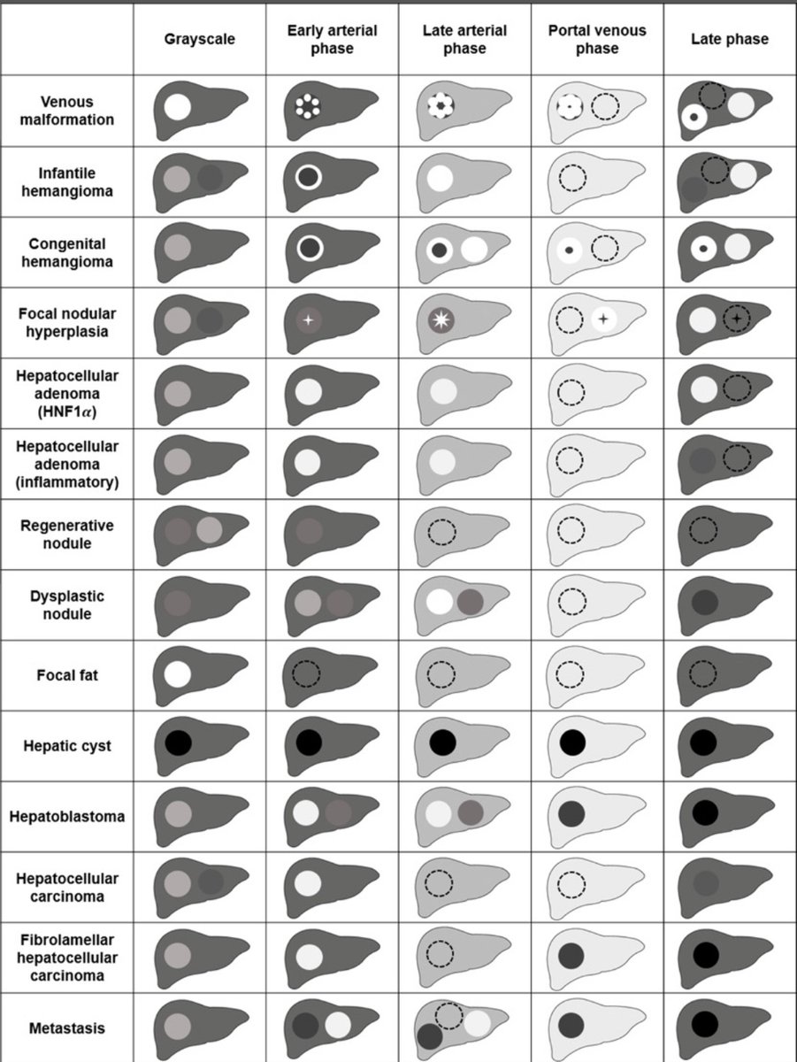 Cara Morin, MD, PhD tweet media