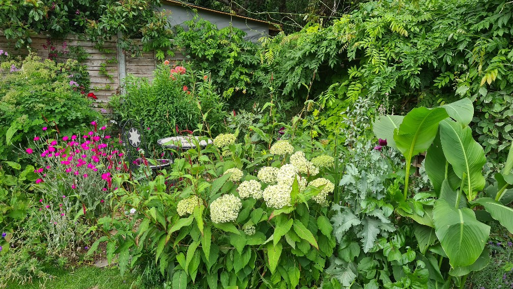 cavershamjj's tweet photo. Border Patrol for June will be published tomorrow at some point. All looking very lush. Verdant, even. But there are definitely opportunities ... #blogpostcomingsoon https://t.co/wWOBH4tgTd