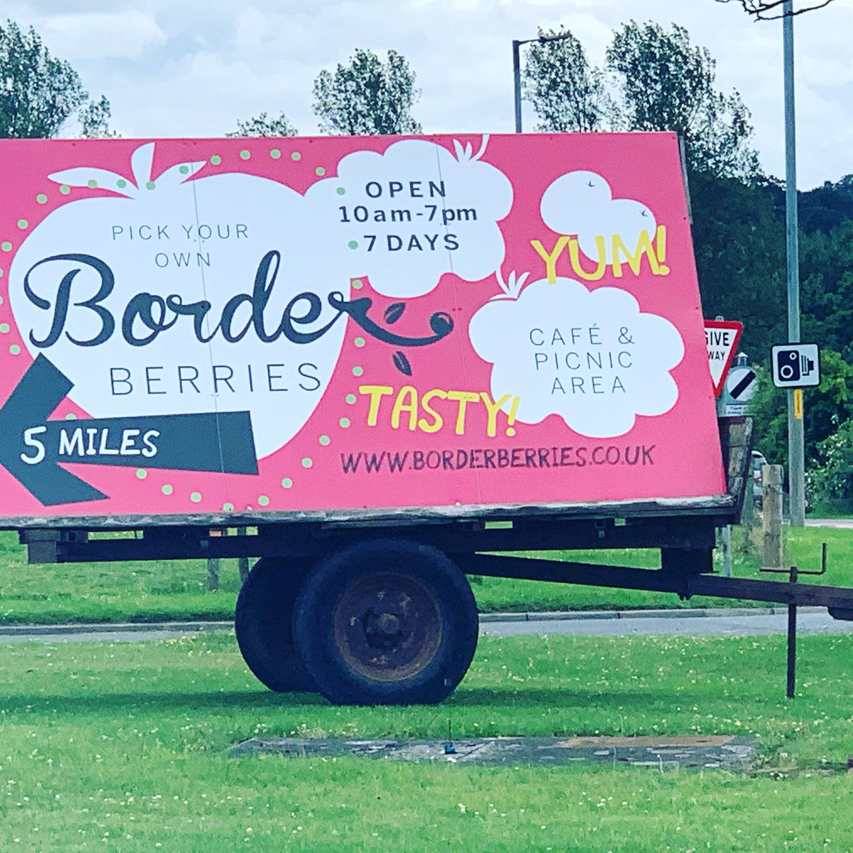 FionaDrane's tweet photo. And this sign fairly cheered me up today too. Love picking berries and very good at eating them too. #scotlandstartshere #windowonscotland #borders https://t.co/bea6XaAuAc