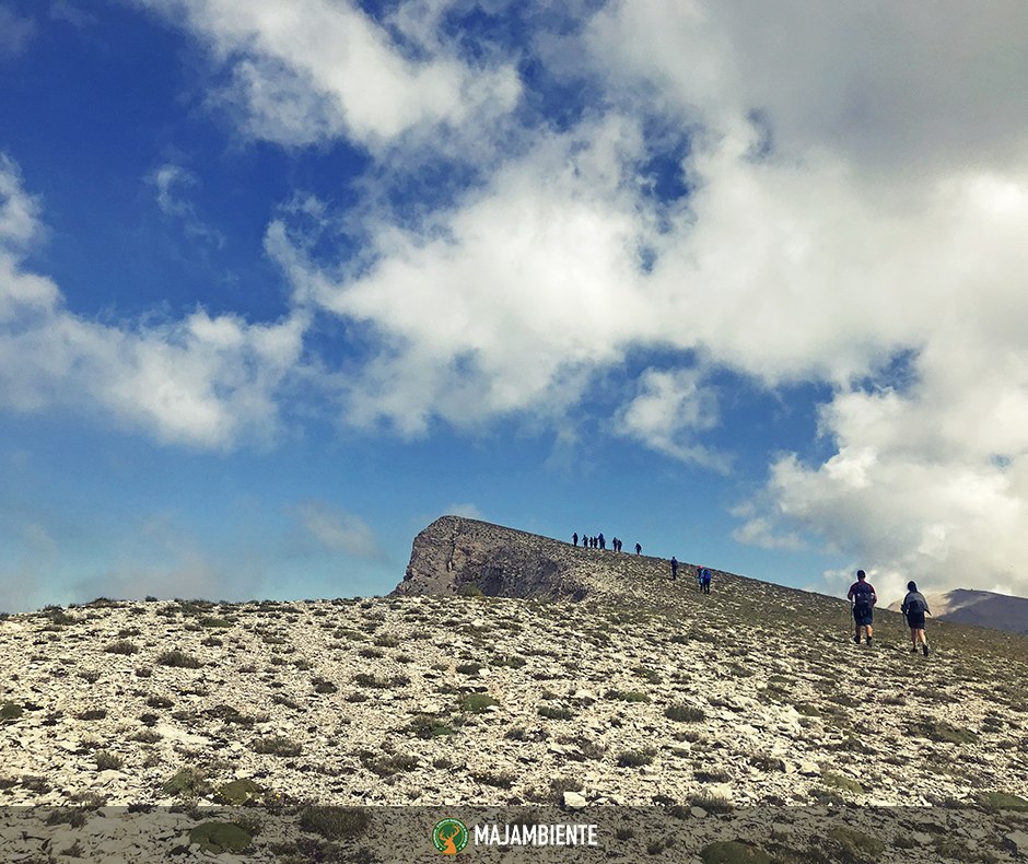 Majambiente's tweet photo. Oggi vi mostriamo alcuni suggestivi scatti realizzati durante l'escursione di #domenica a #MonteAmaro, vetta del massiccio della #Majella e meta ambita da molti amanti della #montagna. 
Saliremo di nuovo in vetta il 26 luglio. 
#vienianchetu https://t.co/YAebWnPX0T