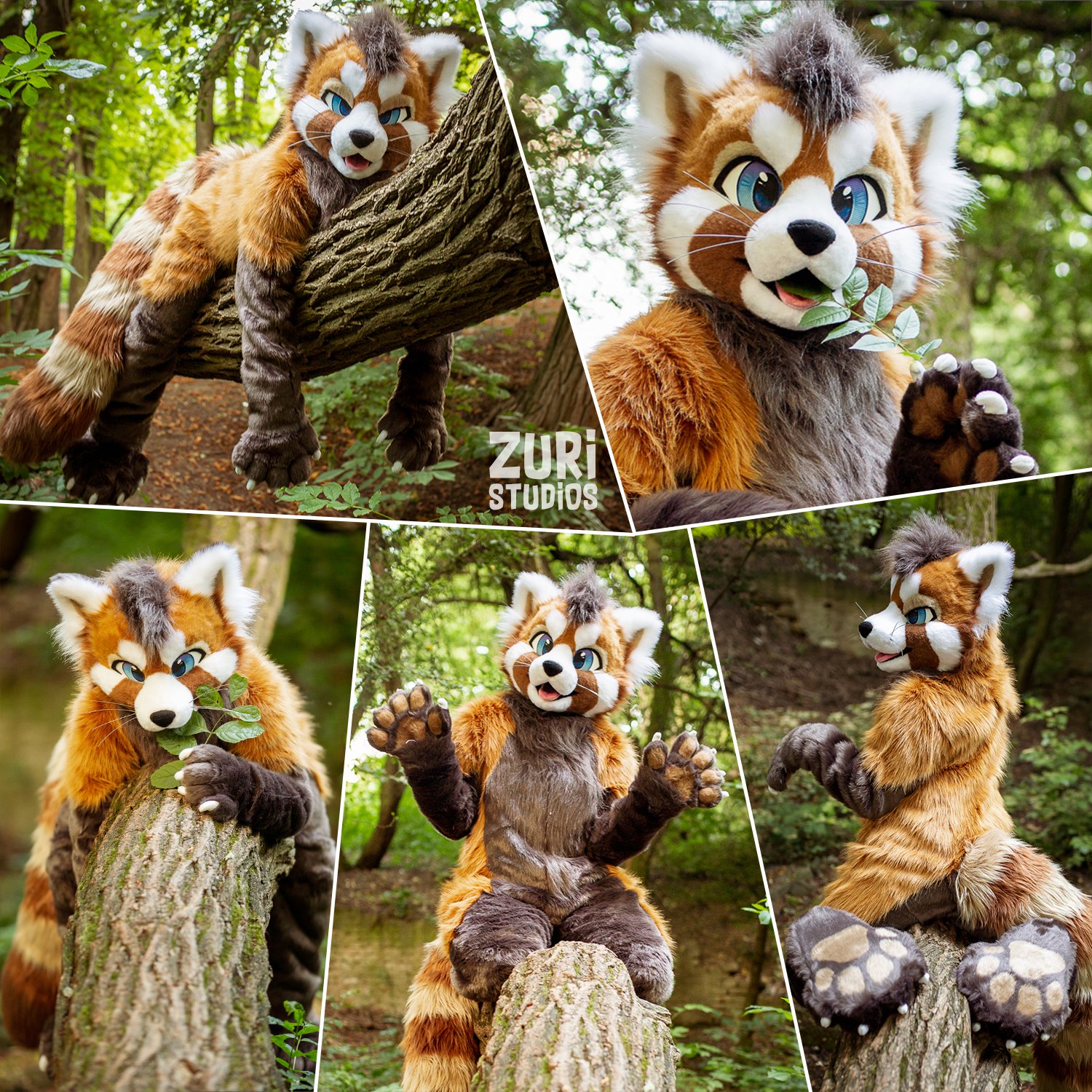 Zuri Studios on Twitter: "✨My newly finished suit, this time a cute red ✂️: @Zuri_Studios 📸: @FurCPhoto 🐼: @ScampRedPanda / Twitter