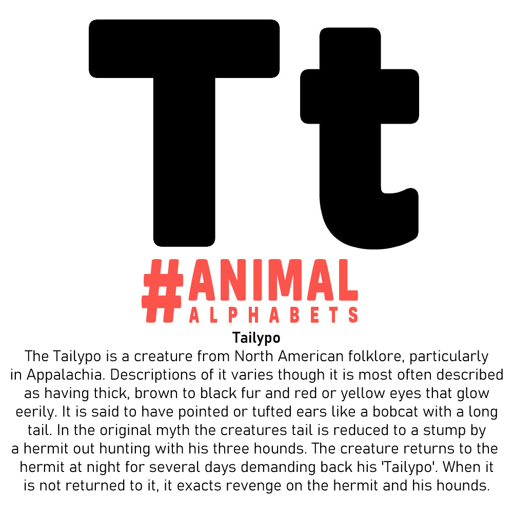 AnimalAlphabets's tweet photo. Next up T is for Tailypo, illo thanks to @fleetloop (https://t.co/53IqTwCu1L instagram, https://t.co/b3tA2TsEry facebook)  Post Monday 7.30pm BST with #AnimalAlphabets #MythicalAlphabet also be sure to tag us on @AnimalAlphabets so we don't miss your tweets, thanks all! https://t.co/OfZ7YxC3rR