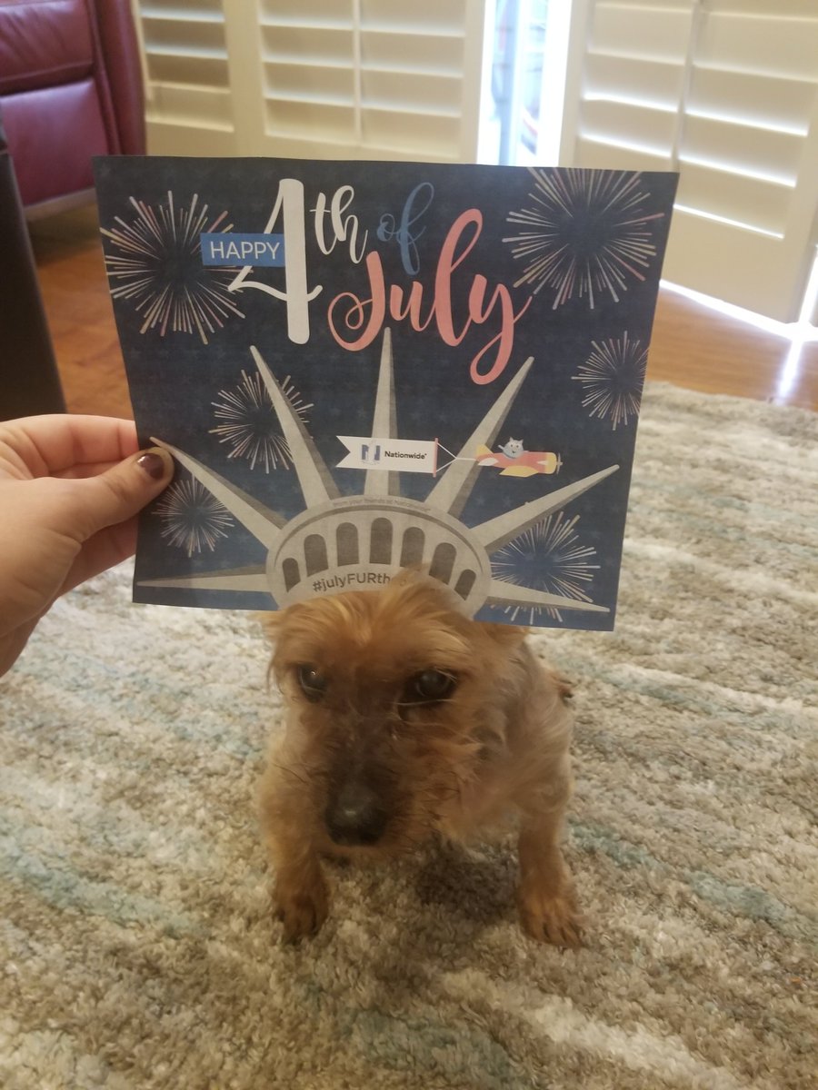 AmberWilliamsen's tweet photo. This girl! #JulyFURthcontest https://t.co/m5rZTRNmfa