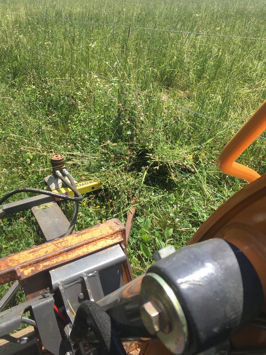 A little trim should make the fence shock better!