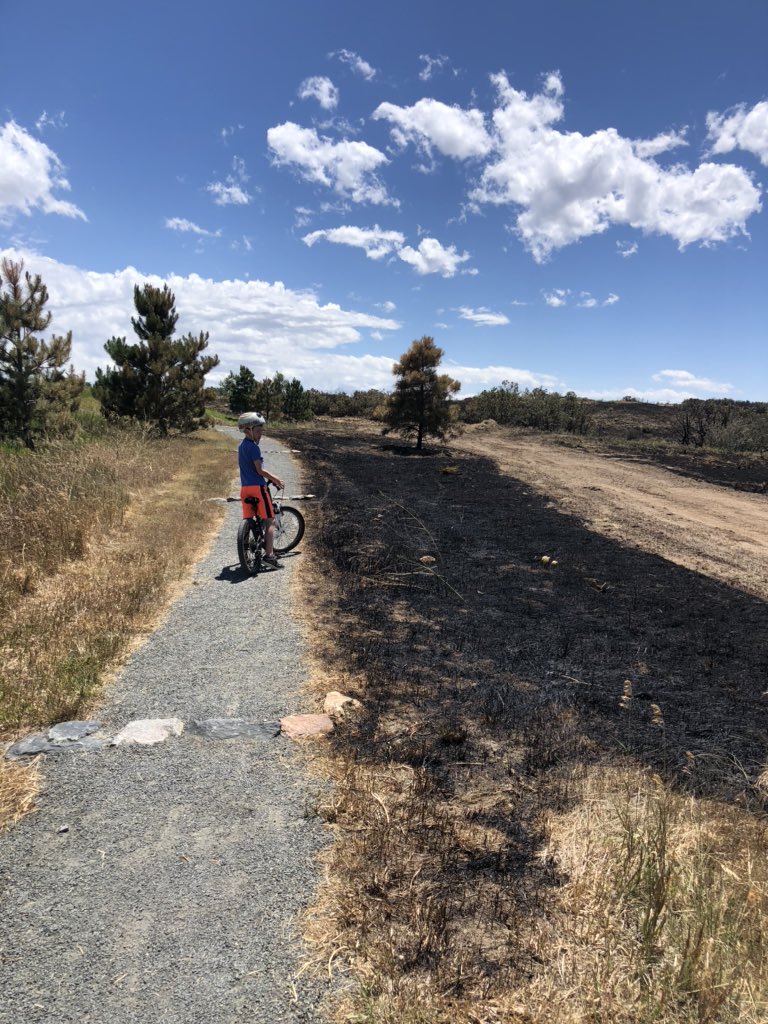 airmarietta's tweet photo. The day after.  Fire retardant will stick around until we get a good rain.  Running on the trails will look different for a while.  #Chatridge2Fire https://t.co/i2BPbjRFun