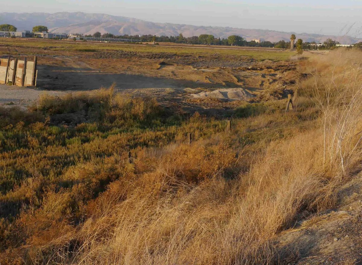 3/ In 2014, the company owners also dumped hundreds of loads of waste on federally protected wetlands in Newark.They were working with a “mud broker,” James Lucero, who had already been convicted of bribing landfill operators in San Jose.