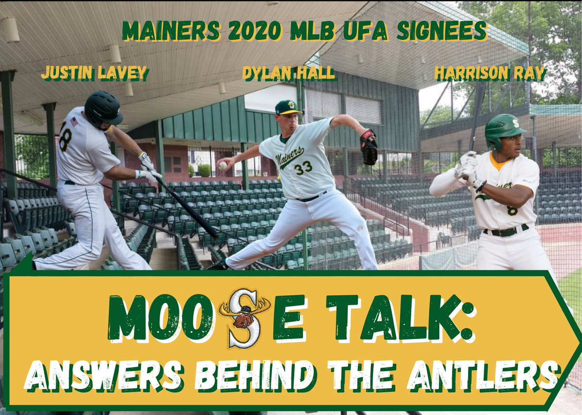 Sanford_Mainers's tweet photo. 🚨 Our next Epsiode of “Moose Talk: Answers Behind The Antlers “ will have not one, but THREE guests as @Nick_Lalpuis will pick the minds of our 3 former Mainers who signed UFA contracts recently. Drop your questions in the comments or on our story!
#MooseTalk #MainersAlumni https://t.co/FrvmDhgHed