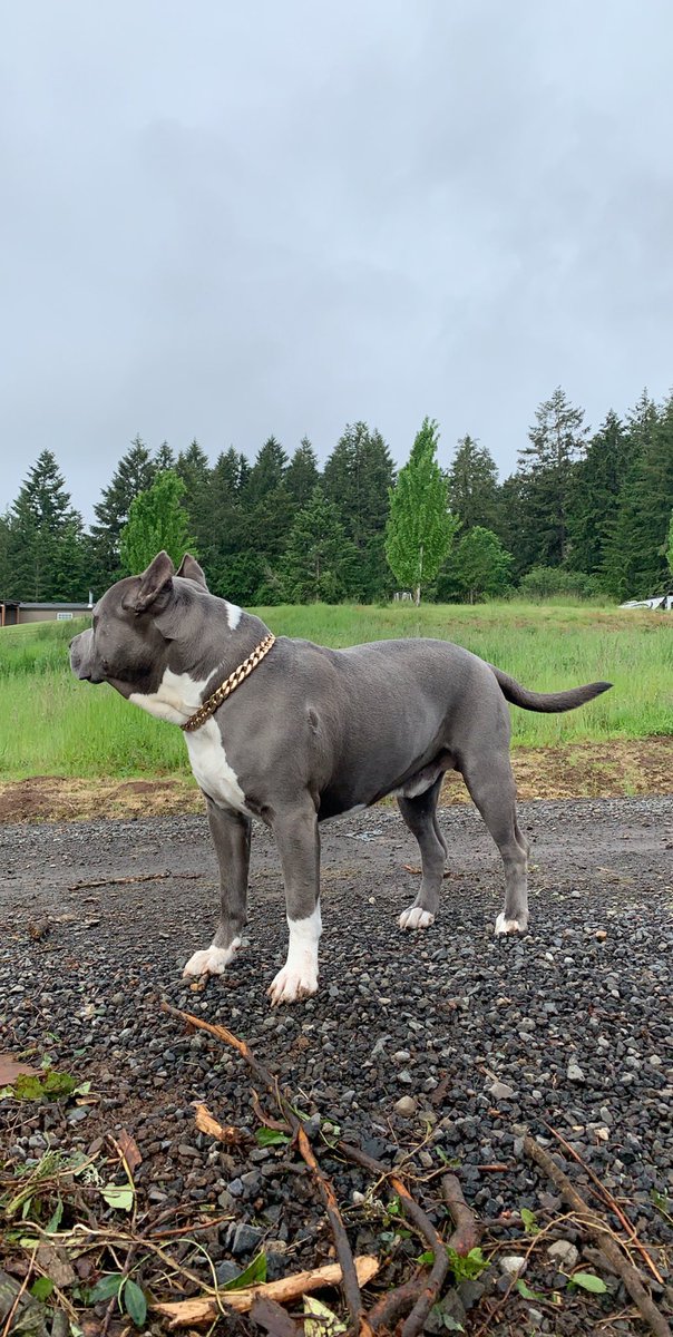 BubbyWhips's tweet photo. Oregon🌲 https://t.co/UVovGLJ3Q5