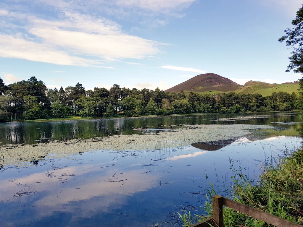 blonde_on_bikes's tweet photo. Lovely stroll round Bowden Loch and Eildon paths after running an errand at the BGH.
#Melrosepaths #bowdenloch #elidonhills #eildonpaths #waterlilly #scottishborders https://t.co/nrB5smxbOf