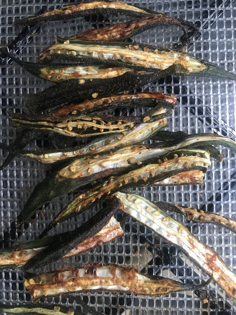 earthbeingalch's tweet photo. Dehydrated okra w/ coconut aminos,
pink salt, onion powder, paprika and chipotle powder.
Lightly marinated & put in @drying123 dehydrator for 3hrs ๐ฟ
#rawvegandc #livingfoodslifestyle #rawvegansnacks #eatforbeauty https://t.co/iXSFmi3WIb