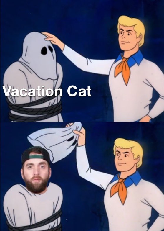 Memes tweet media