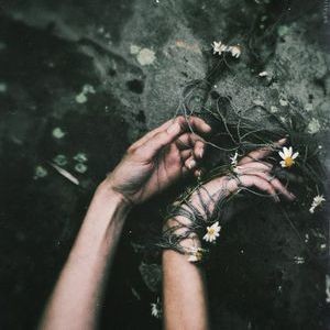 OfBadSpirit's tweet image. 