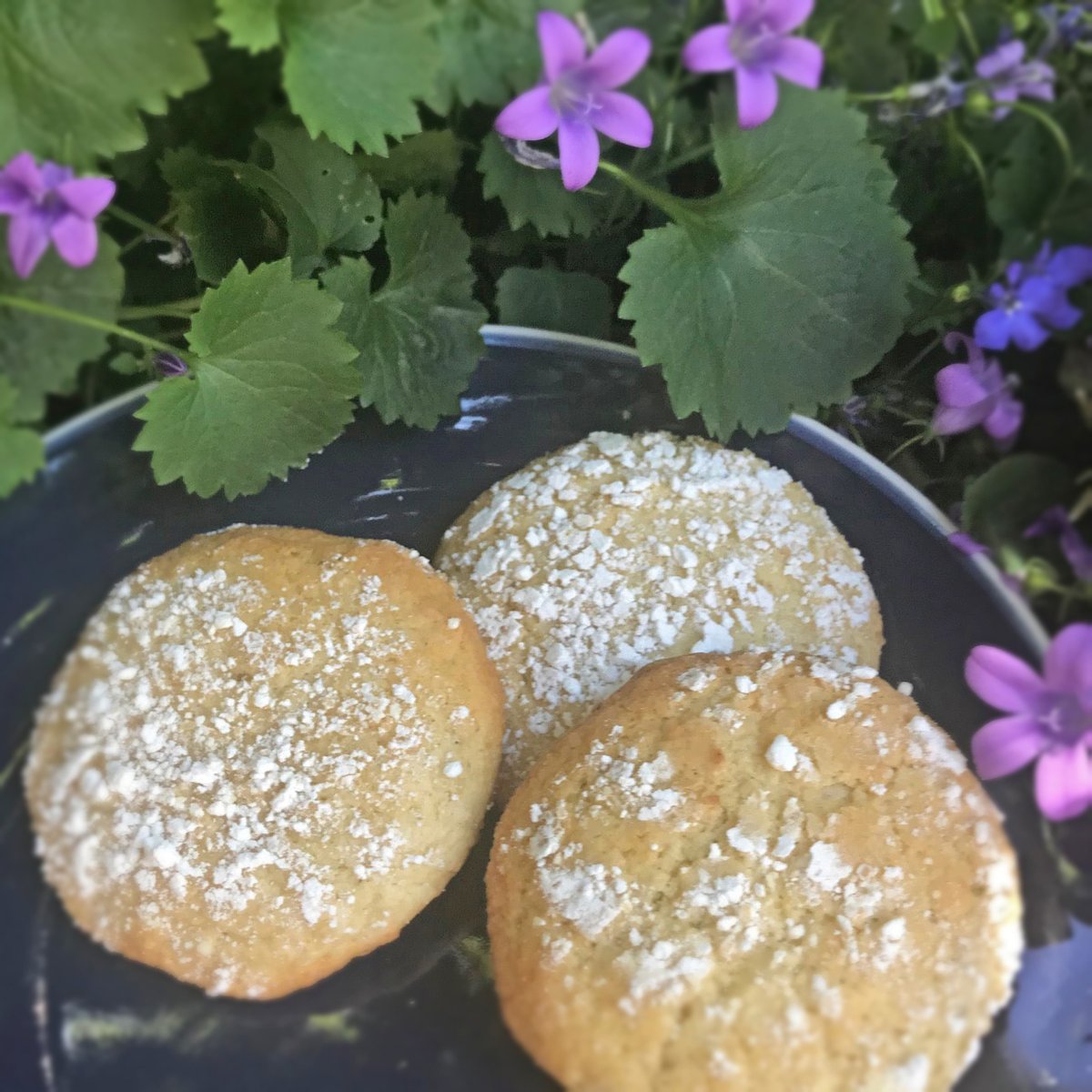 allergymumscouk's tweet photo. These Vegan Lime and Coconut Cookies really pack in the lime zest. A great classic combination for a not too sweet biscuit. #veganbaking #vegancookies #veganrecipes #dairyfree #eggfree #eggfreebaking #dairyfreecookies https://t.co/E4gGZ7bYnF