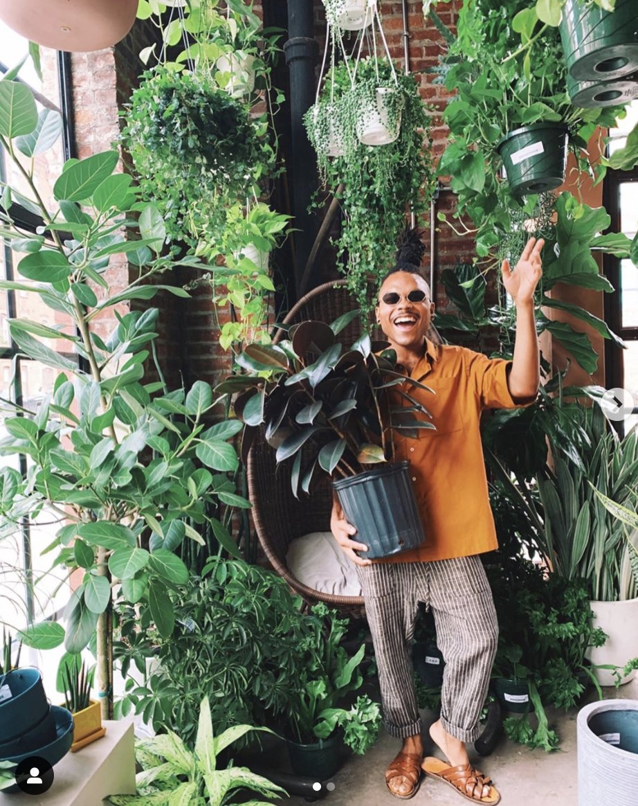 AtelierTruckee's tweet photo. Hello, Summer + Plants! https://t.co/3xpJajS1Wo https://t.co/WcgP9Cb78G