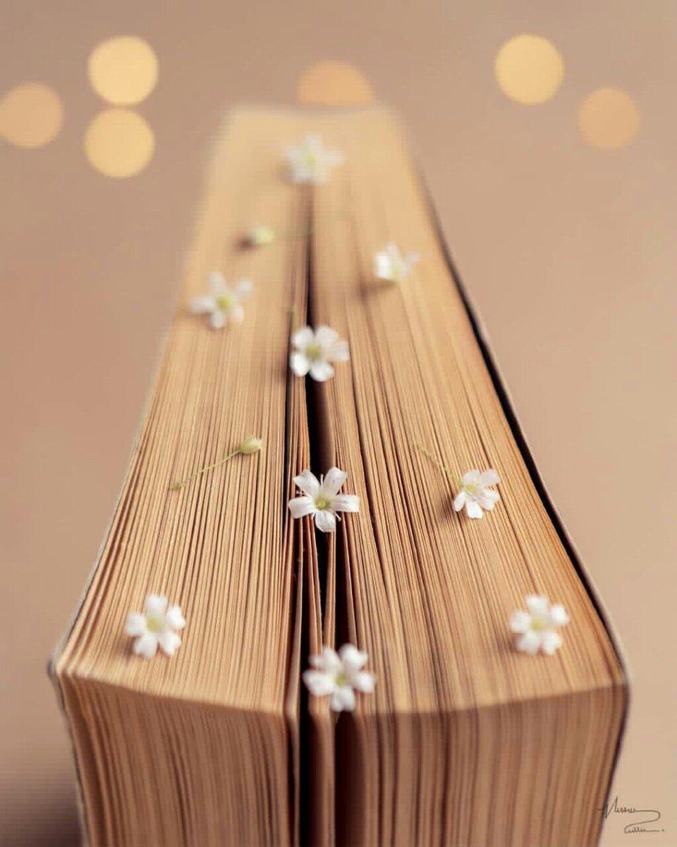 #ســفـٱنھَ
ليس المهم كم كتبنا من حروف
ولكن العبرة بما أفدنا و أستفدنا
أشغلوا أناملكم بكتابة العلم
فلعل في حروفه سبب نجاتكم
قيل لإبن المبارك
إلى متى تكتب العلم ؟
قال
لعل الكلمة التي أنتفع بها لم أكتبها بعد
اللهم سُق إلينا من رحماتك ما يغنينا 
وهب لنا من العمل الصالح  ما ينجينا💐