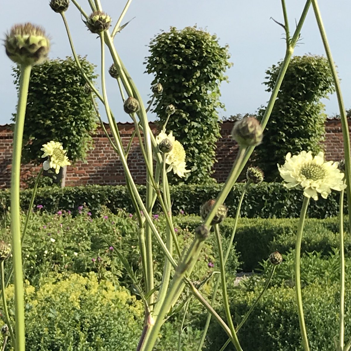 The Historic Garden, Det Grønne Museum #MuseumsUnlocked  #trees  #plants