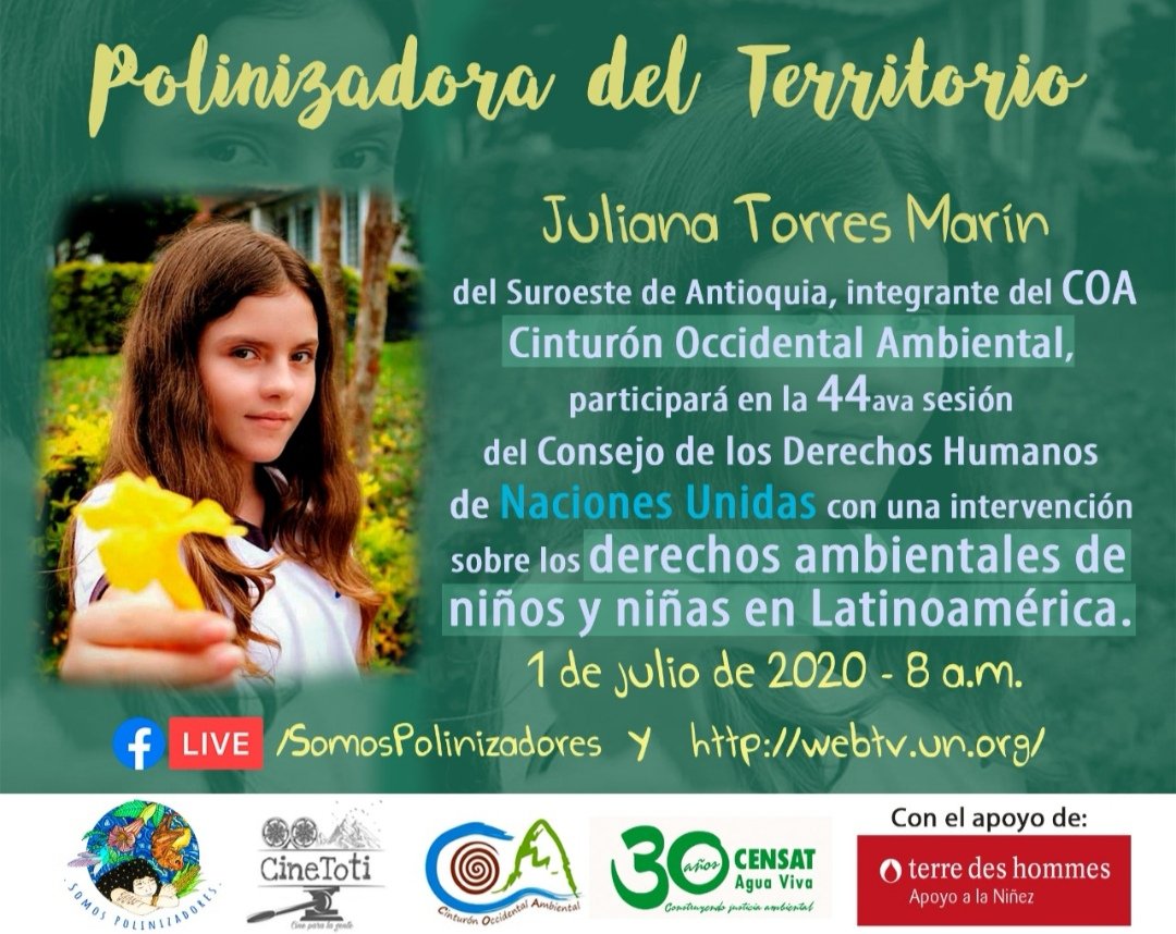 COATerritorio's tweet photo. ¡Acompáñanos mañana a las 8:00 am!
Juliana Torres Marín nuestra polinizadora, hablará sobre derechos ambientales ante la ONU, representando a niños, niñas y jóvenes de Latinoamérica.
⬇️⬇️⬇️
https://t.co/Jf1VywVdxW https://t.co/fVcTrx1548