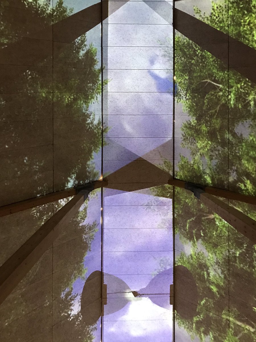 800 m2 celling used as canvas for an animated forrest (test-version with dark and interesting shadow play)  in the new exhibition “HUGE”, Det Grønne Museum #MuseumsUnlocked #trees #plants