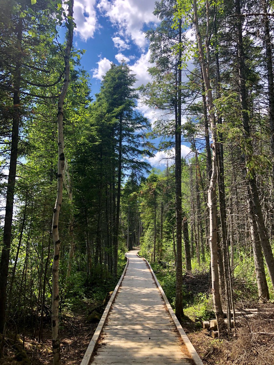 bmgreene06's tweet photo. Snagged my #SnapHappy badge today for #SummerOfCMTR at the beautiful and peaceful #BirchIslandBoardwalk. Seriously could’ve stayed and taken pictures all day! 😍 https://t.co/toBLUkOxCT