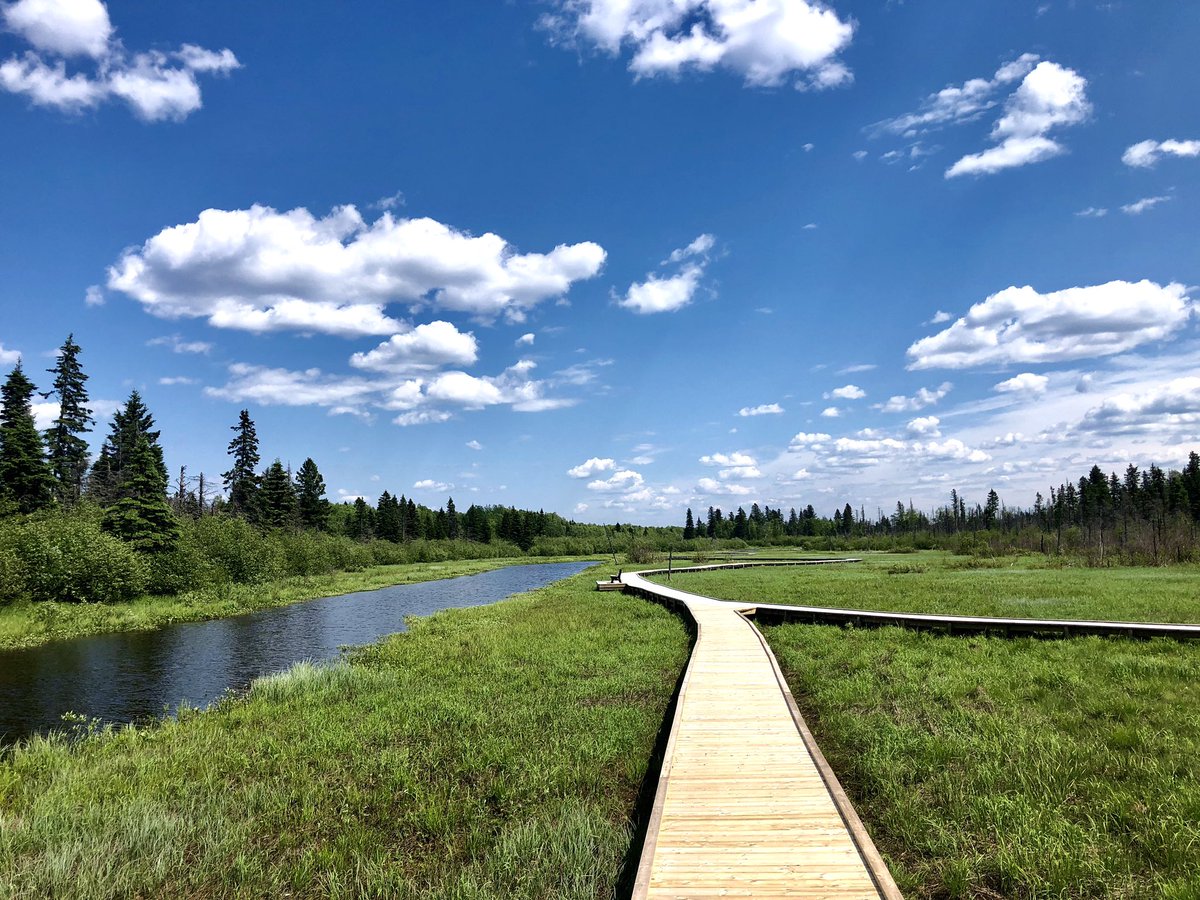 bmgreene06's tweet photo. Snagged my #SnapHappy badge today for #SummerOfCMTR at the beautiful and peaceful #BirchIslandBoardwalk. Seriously could’ve stayed and taken pictures all day! 😍 https://t.co/toBLUkOxCT