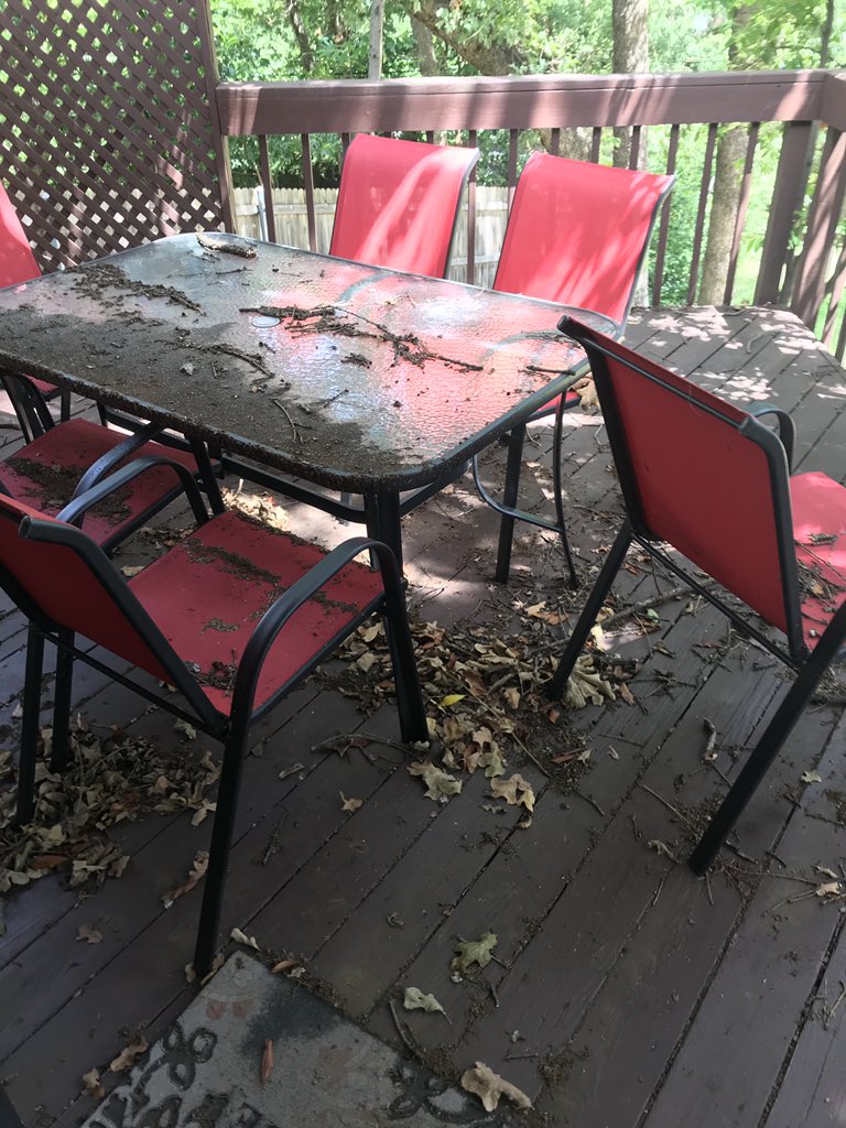 danielleflener1's tweet photo. @Airbnb this is just the beginning of how horrible our Airbnb house was. The pool was greener than these plants that blocked the patio. Poop marks also in other toilets. Spider webs in corners, sticky drawers, dirty freezer, no toilet paper. Disgusting! https://t.co/VWCSrMsBEc