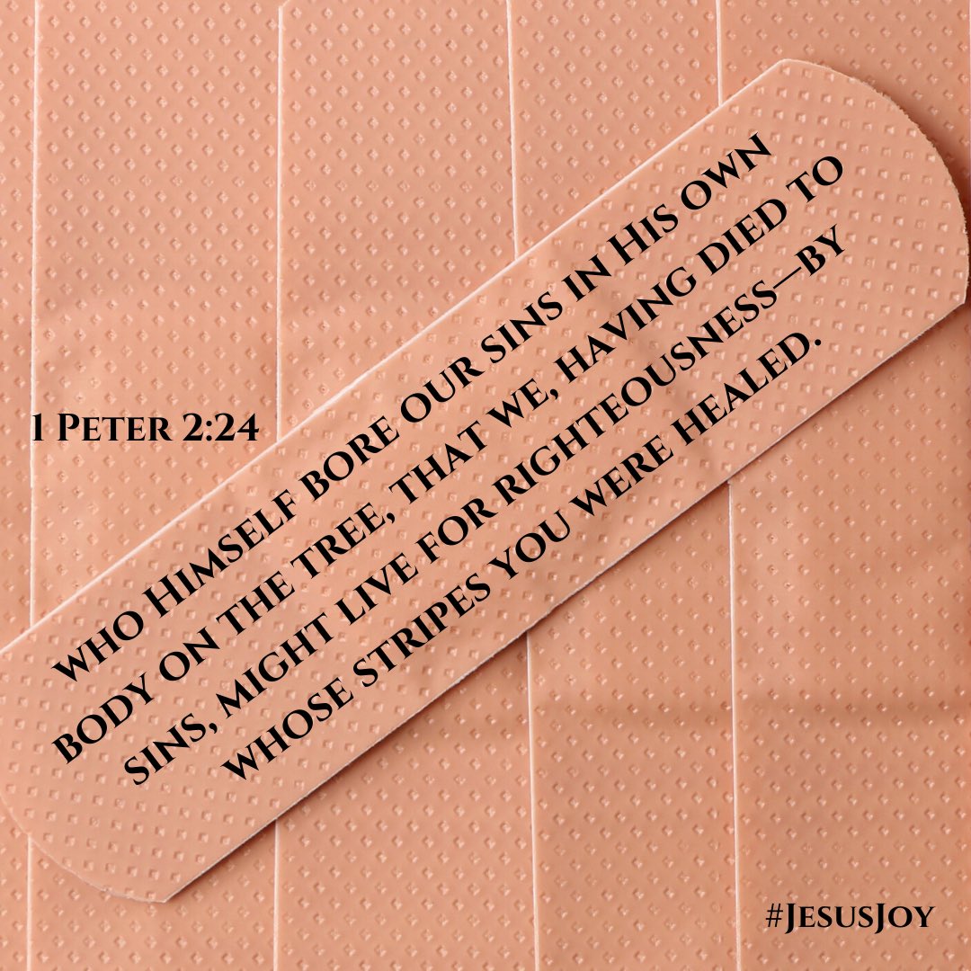 BaNodine's tweet photo. “I know how to live a wounded life, I need to learn how to live a healed one.” @CindySteinbeck  🍇 #bandaidinmyBible https://t.co/fNolq9a2Bt