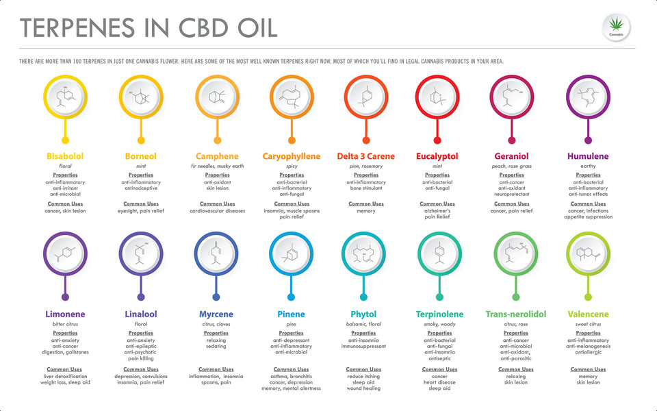 BodyZen's tweet photo. What are terpenes?
#Terpenes are an important, often-overlooked compound of the #hemp plant that have their own host of potential benefits.

#fitness #healthy #workout #motivation #wellness #fit #fitfam #gym #lifestyle #fitspo #nutrition #exercise #eatclean #training #love https://t.co/fYwVRSKLtX