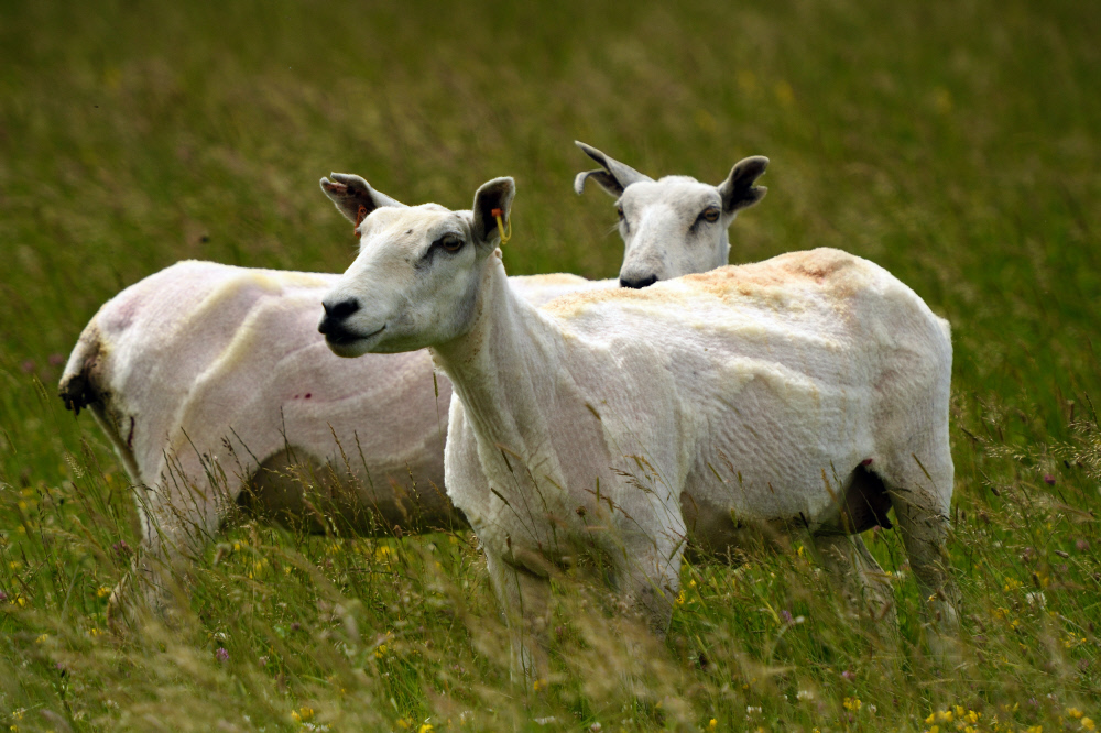 Who else is looking forward to showing off their first haircut in what feels like forever?