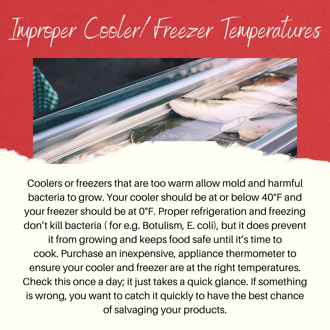 Edizeven tweet media