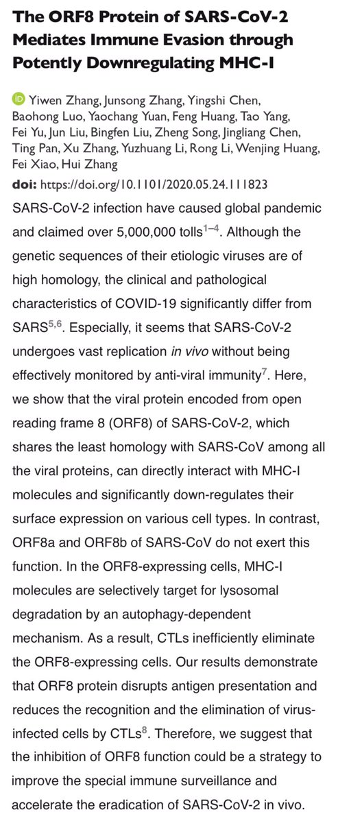 HeuerChristianJ's tweet photo. Das #ORF8 Protein des neuen #Coronavirus entfernt den Proteinkomplex #MHC1 von der Oberfläche infizierter Zellen. Diese präsentieren dann keine viralen Antigenschnipsel mehr und die zytotoxischen T-Lymphozyten können sie nicht erkennen. https://t.co/1VTuXSuBqp @biorxivpreprint https://t.co/XxfvvbfUjN