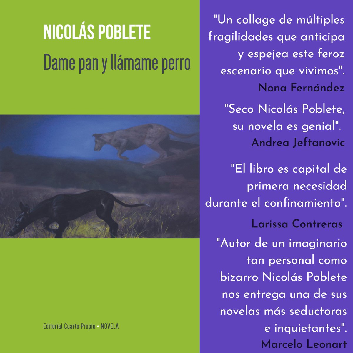 nico poblete pardo tweet media
