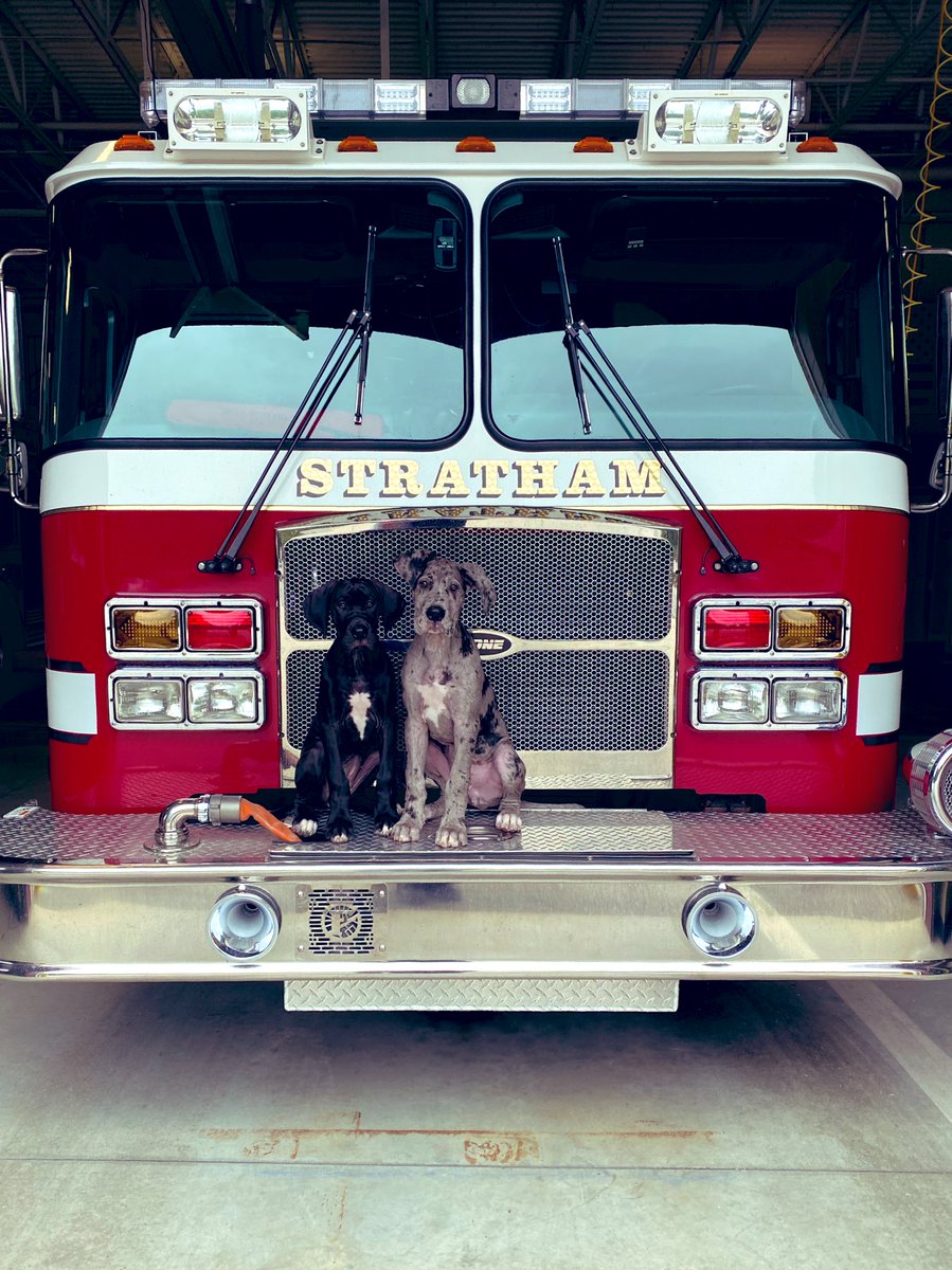 Two new members of the Stratham Fire Dept. meet Clementine (left) and George (right). Posing with Engine 3.  #NH #firedog #stratham