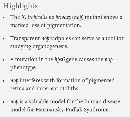 Dev_Bio_Journal's tweet photo. #DBteaser #DBfeatures #DevBio #ICYMI
"No Privacy, a Xenopus Tropicalis Mutant, Is a Model of Human Hermansky-Pudlak Syndrome and Allows Visualization of Internal Organogenesis During Tadpole Development" by @Xenopus007, Bob Grainger et al (2017).
-> https://t.co/zX9O81Jf5Q https://t.co/SsfNSOyvyG
