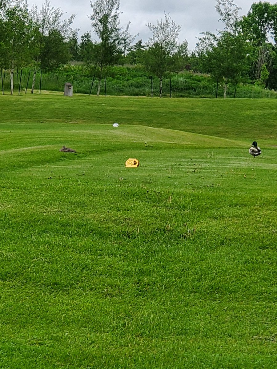 GolfIsLife tweet media