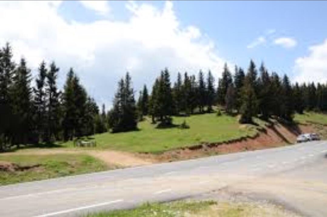 kuzeyormanlari's tweet photo. Öncesi, sonrası:

Burası Trabzon, Çaykara, Görnek Tabiat Parkı. 

2 yıl önce başlayan turistik rant projesiyle tabiat parkı tanınmaz hale geldi, bütün park şantiyeye döndü.

Rantınız batsın!

📷@gunessben https://t.co/JR3G98REBk