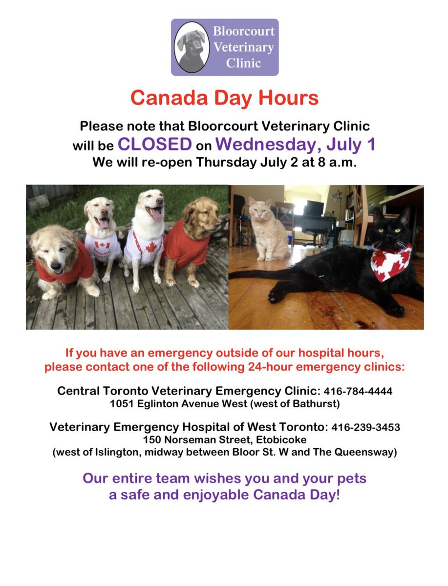 norseman animal hospital