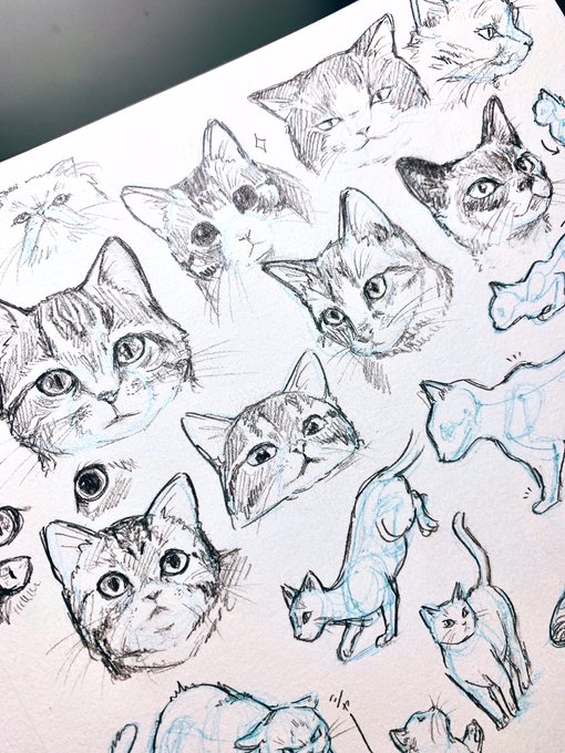 オリキャラの物語に猫がたくさん出てくるから一応ちゃんと描けるように…猫の練習 