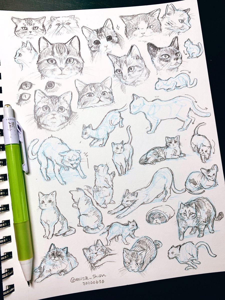 オリキャラの物語に猫がたくさん出てくるから一応ちゃんと描けるように…猫の練習 