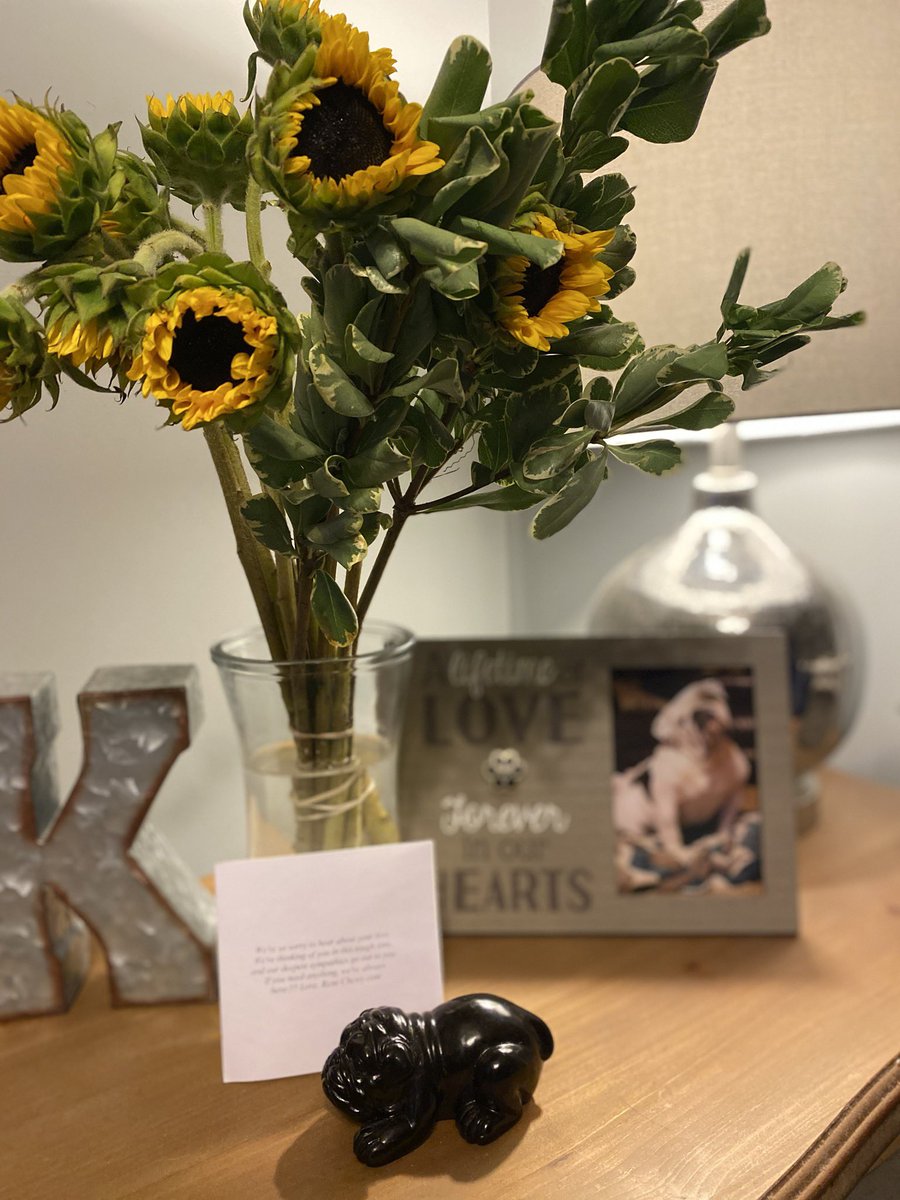 kboshell97's tweet photo. @Chewy goes above and beyond for their #ChewyFamily. This brought tears to my eyes today. Thank you so much for thinking of us during this very difficult time. 💔🐾🐶 https://t.co/zyG9Vgml9R