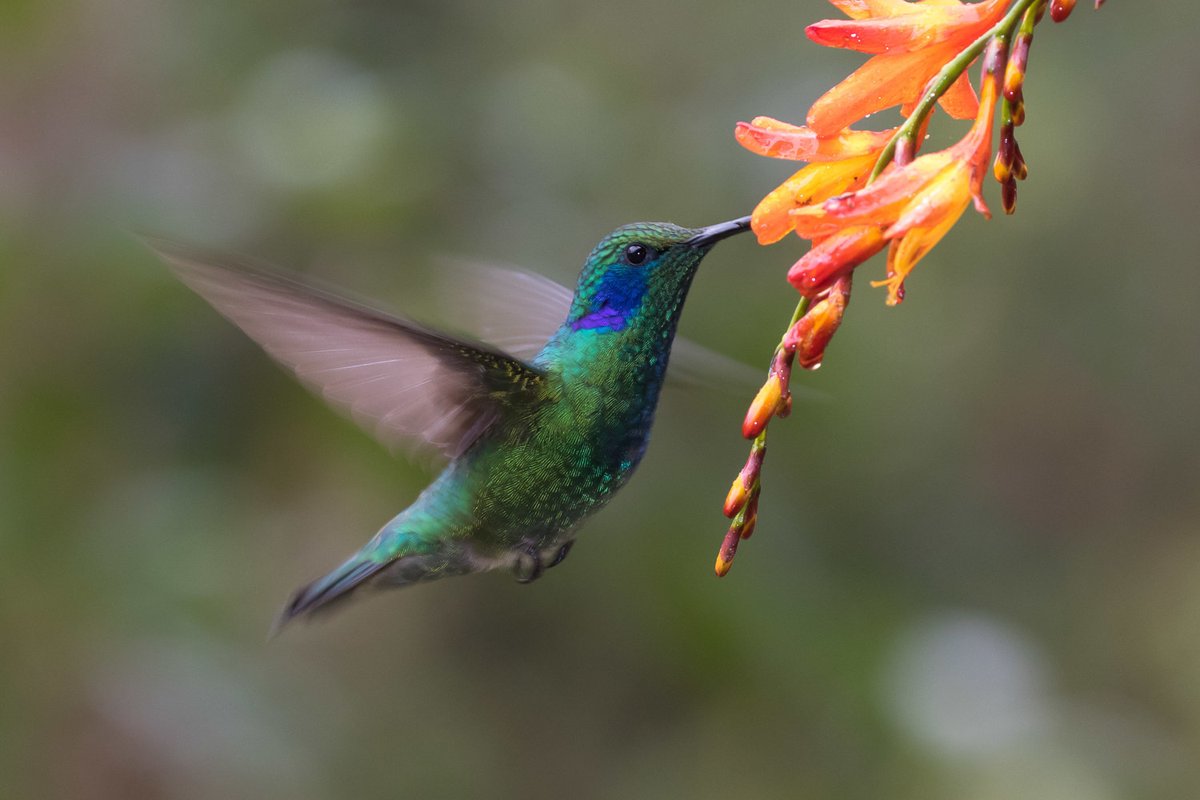 山下真冬 はちどり 鑑賞 正に1980年代生まれ 女性監督 キム ボラ の切実で凄みある想いが伝わりくる作品でした 主人公ウニは14歳という年齢でズタズタ それでも様々な出来事 人々を通して 今いる場所からいつか飛び立とうと決心するのよね
