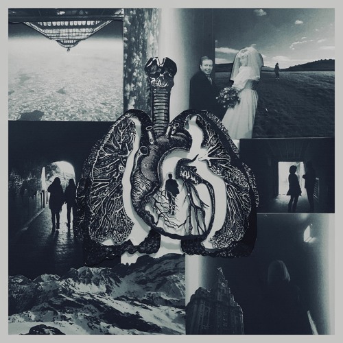 #𝗥𝗞𝗖 tweet media