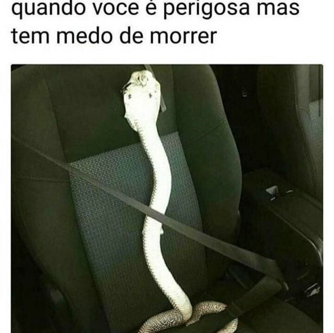 As Risadas Dos Memes