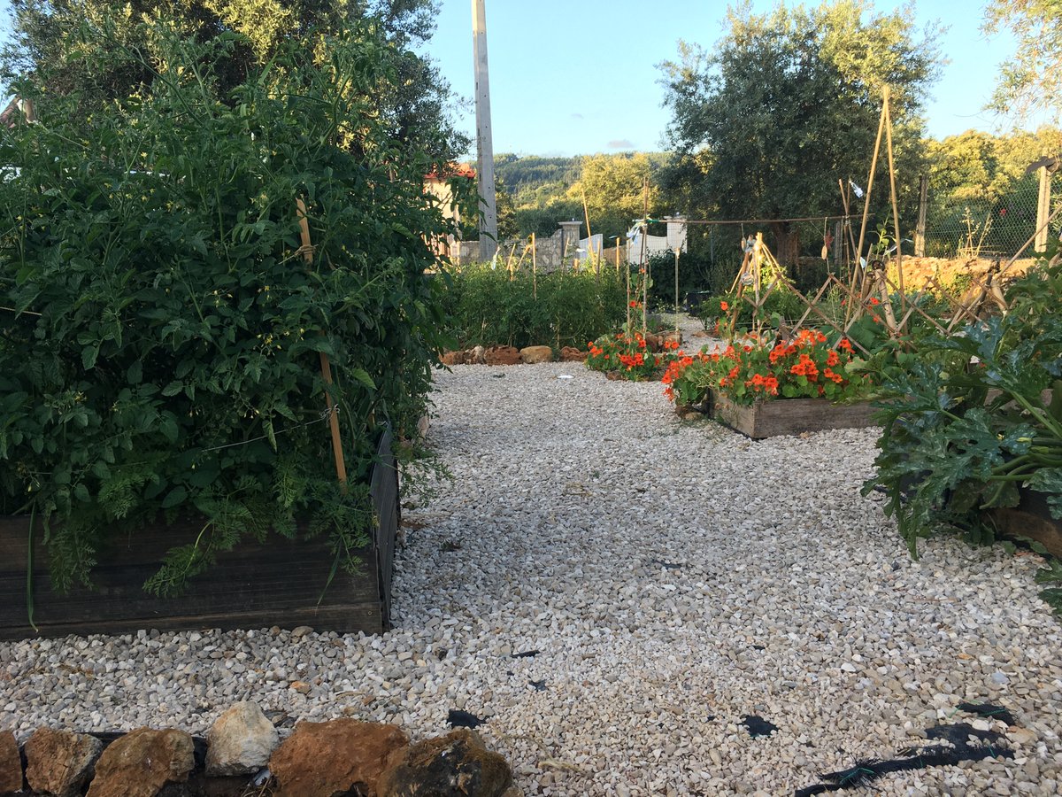 This new vegetable garden was built with recycled wood & waste from the build of our home - and a tonne of compost from the local farmer ; it took less than 21 days to start producing our first crops ; we haven’t had to buy any fruit or veg for over a month . 3/5