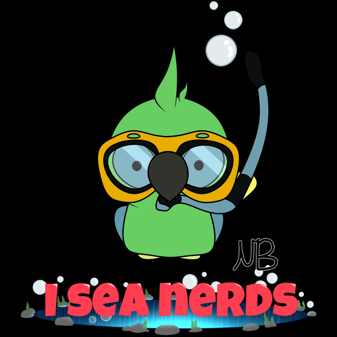 NerdieBirdieYT's tweet image. I&apos;ve sold my first merch piece!

This is a small accomplishment, but it feels incredible. Thanks, Kenneth, for supporting the channel, and I&apos;m so glad you enjoy my content!

Huge thanks to @techdraconis for making the original design. I edited the gold design to thank Kenneth! ❤