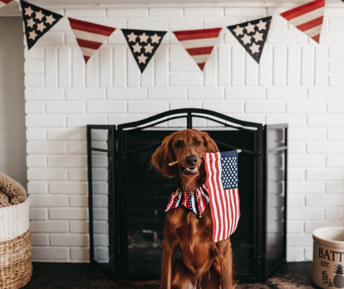 Wondering what you are going to do this Independence Day, Denver? We're swooping in with some ideas for you! hubs.ly/H0s1FK30 #denver #datenight #datelikeyoumeanit #timetogether #home #independenceday #4thofjuly